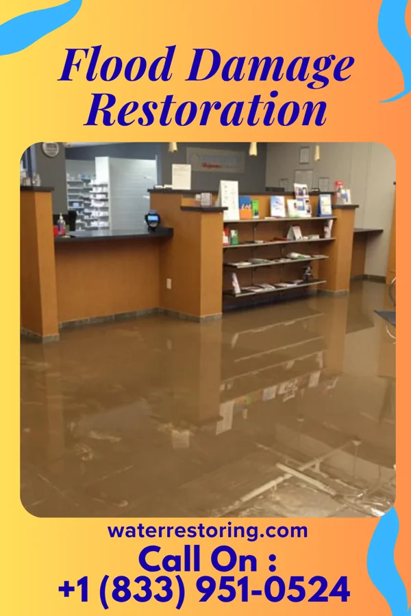 Flood Damage Restoration in Argonia, KS
