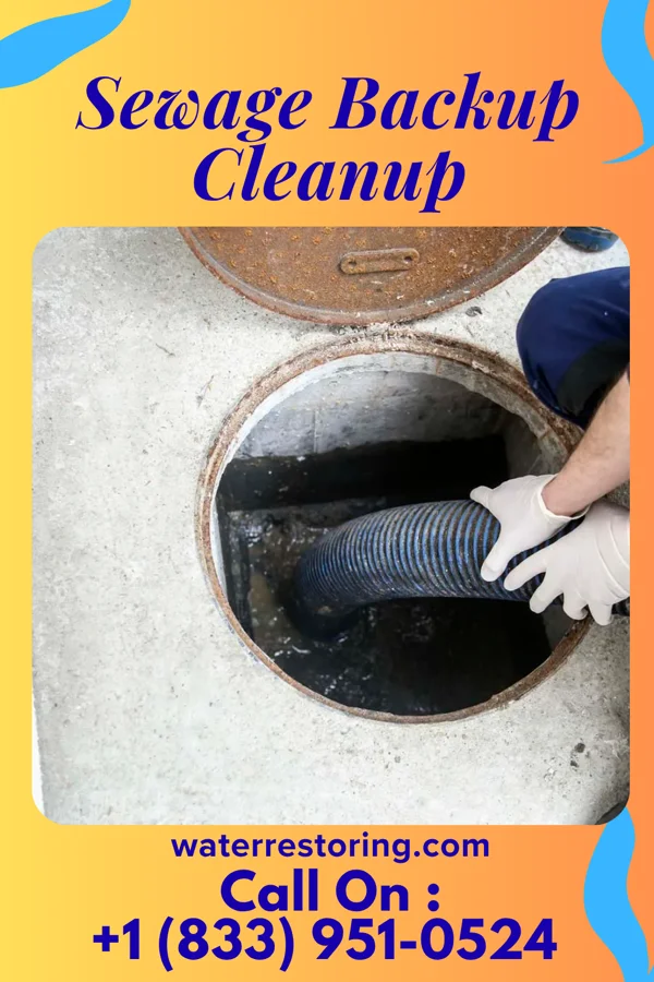 Sewage Backup Cleanup in Argonia, KS